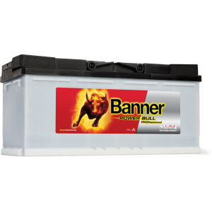 Аккумулятор Power Bull PROfessional PRO P110 40