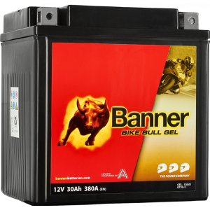 Аккумулятор Bike Bull GEL GEL 530 01 / GT30-3